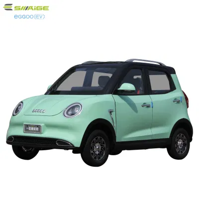 Voiture Saige High Motor E avec CEE pour le marché américain